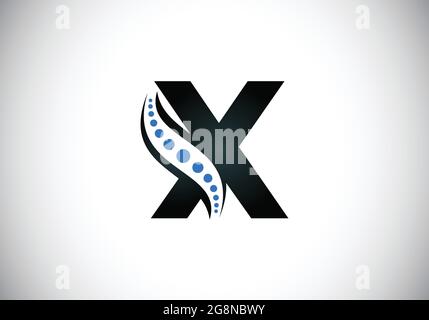 Anfangsbuchstabenalphabet mit X-Monogramm und chiropraktischem Wirbelsäulenlogo. Symbol für die Wirbelsäulenversorgung. Schrift-Emblem. Modernes Logo für orthopädische Geschäfte Stock Vektor