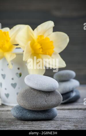 Balancierende Kieselsteine und gelbe Blumen, ZEN Stone Garden auf Holzhintergrund, Spa ruhiges Szenenkonzept Stockfoto