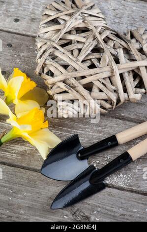 Gartengeräte, Weidenherz, Pflanzen auf Vintage-Holztisch. Frühling im Garten Hintergrund Stockfoto