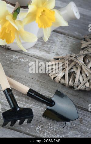 Gartengeräte, Weidenherz, Pflanzen auf Vintage-Holztisch. Frühling im Garten Hintergrund Stockfoto