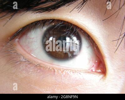 Nahaufnahme des asiatischen Eyeballfensters Stockfoto