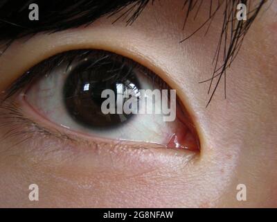 Nahaufnahme des asiatischen Eyeballfensters Stockfoto