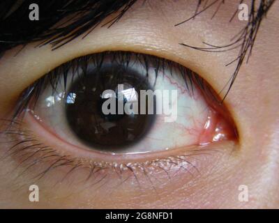 Nahaufnahme des asiatischen Eyeballfensters Stockfoto