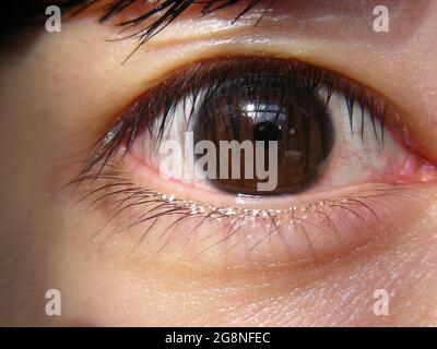 Nahaufnahme des asiatischen Eyeballfensters Stockfoto