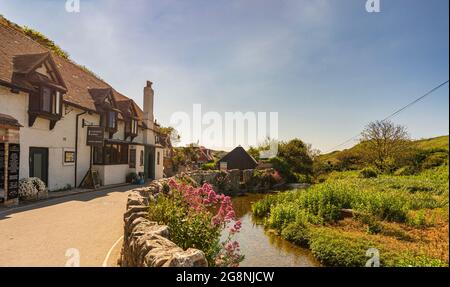 Lulworth Lodge - Hotel und Bistro an einem hellen Sommertag mit wildrosen Blumen, die an der Felswand wachsen, mit klarem Bach, der zur Bucht von Lulworth führt Stockfoto