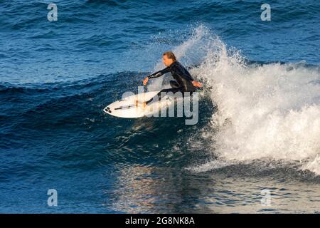 Surfer in einem Neoprenanzug vor der Küste von Avalon Beach in Sydney, NSW, Australien Stockfoto