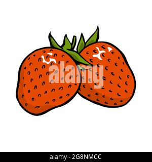 Appetitliche Erdbeere auf weißem Hintergrund. Süße Beeren. Sommerdessert mit Vitaminen. Vektorkontur isolierte Illustration Stock Vektor