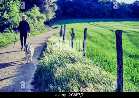 Junge reife kaukasische Frau, die im Frühling mit ihrem Wolfhund auf einem Pfad im Freien läuft. Navarra, Spanien, Europa. Stockfoto