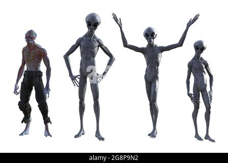 3d-Illustration einer Gruppe von drei grauen Aliens und einer anderen außerirdischen Spezies, die in verschiedenen Posen auf weißem Hintergrund isoliert stehen. Stockfoto