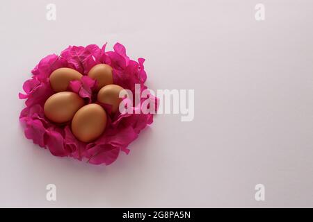 Eier in einem Blumennest. Auf einem weißen Hintergrund mit einem Kopierbereich. Stockfoto