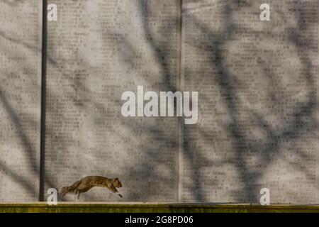 World war II Memorial, Battery Park, New York City, New York, USA Stockfoto