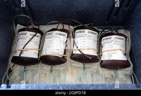 Rostock, Deutschland. Juli 2021. Ein Transportbehälter mit Blutspenden in der Blutspendeabteilung des Universitätsklinikums. Das Universitätsklinikum richtet sich an die Bevölkerung mit einem Appell, der um Blutspenden bittet. Aufgrund eines akuten Mangels an Blutspenden müssen die Operationen jeden Tag verschoben werden; die Corona-Krise hat den für einen Sommer normalen Blutmangel auf das Maximum verschärft. Quelle: Bernd Wüstneck/dpa-Zentralbild/ZB/dpa/Alamy Live News Stockfoto