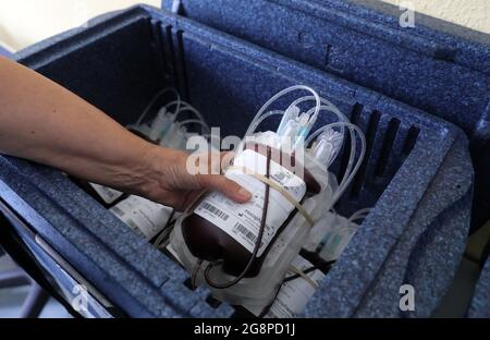 Rostock, Deutschland. Juli 2021. Bei der Blutspende der Universitätsmedizin zeigte Anna Bendlin, Krankenschwester, einen Transportbehälter mit Blutspenden. Das Universitätsklinikum appelliert mit einem Antrag auf Blutspenden an die Öffentlichkeit. Aufgrund des akuten Mangels an Blutspenden müssen die Operationen jeden Tag verschoben werden, die Corona-Krise hat den Blutmangel, der für einen Sommer normal ist, auf das Maximum verschärft. Quelle: Bernd Wüstneck/dpa-Zentralbild/ZB/dpa/Alamy Live News Stockfoto
