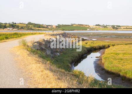 19. Juli 2021 Mud Flats und lange Gräser vor den Schleusen gehen an der Strangford Lough Küste am Stadtrand von Newtownards County Down in North Stockfoto