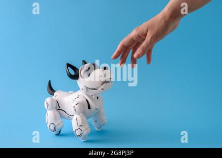 Roboter Hund Haustier auf hellblauem Hintergrund mit menschlicher Hand Stockfoto