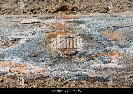 Raue Holzstruktur mit Rost und Salzlauge auf Sand Stockfoto