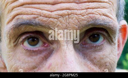 Eine extreme Nahaufnahme eines Mannes mit braunen Augen Stockfoto
