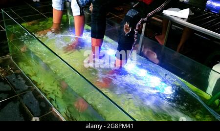 Exotische Fußmassage im Aquarium von Fischen am Mount abu in indien Stockfoto