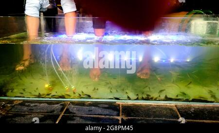 Exotische Fußmassage im Aquarium von Fischen am Mount abu in indien Stockfoto