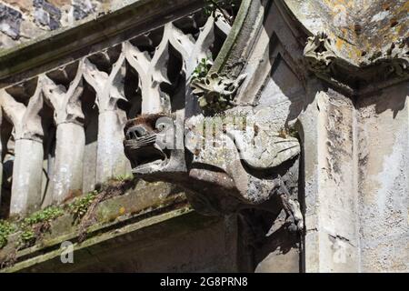 Mittelalterliche Gargoyle in der Kirche St. Martin, Oberstadt, St. Valery-sur-Somme, Picardie, Hauts-de-France, Frankreich Stockfoto