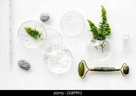 Selbst gemachte Feuchtigkeitscreme und grüne Jade Gesichtswalze. Exotische Farnblätter und Wassertropfen auf weißem Hintergrund. Gesichtsmassage, handgemachte Kosmetik. Stockfoto