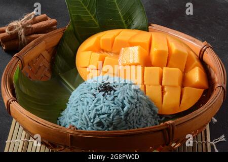 Mango und klebriger Reis, süßes thailändisches Dessert, gefärbt mit Schmetterlingsblüten auf dunklem Hintergrund Stockfoto