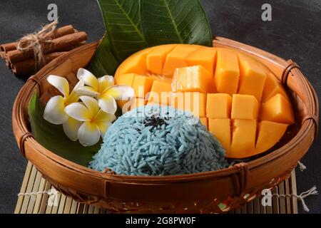 Mango und klebriger Reis, süßes thailändisches Dessert, gefärbt mit Schmetterlingsblüten auf dunklem Hintergrund Stockfoto