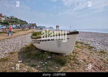 Budleigh in Bloom Blumen Gedenkboot am Strand, Budleigh Salterton, eine kleine Küstenstadt mit einem steinigen Strand, East Devon, Südwestengland Stockfoto
