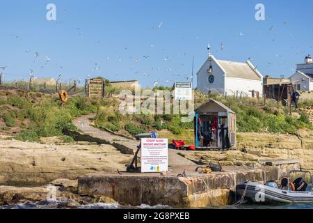 Informationsschild und Hüttenhütte auf Coquet Island, einem Naturschutzgebiet für Vögel an der Küste von Northumbria in der Nähe von Amble, Nordostengland Stockfoto