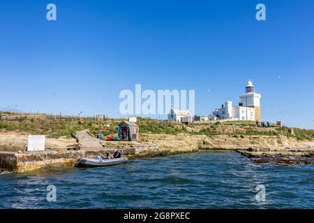 Victorian Trinity House Leuchtturm und Hüttenhütte, Coquet Island Wildlife Sanctuary an der Küste von Northumbria, vor Amble, Nordostengland Stockfoto