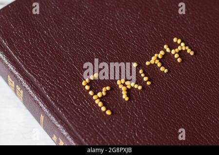 Frau hält das Heilige Bibelbuch mit goldenen Buchstaben offen. Das Evangelium und die Verheißungen Gottes Jesus Christus in der Schrift. Lesen und studieren Sie Gottes Wort täglich. Stockfoto