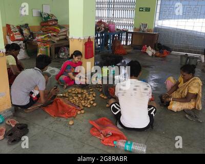 KALKUTTA, INDIEN - 23. Jun 2021: Nahrungsmittel, die von Nichtregierungsorganisationen im Hilfslager in Sunderban, Westbengalen, Indien, für die vom Hochwasser betroffenen Menschen zubereitet werden Stockfoto