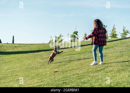 Unbekannte Frau, die mit ihrem reinrassigen Hund im Park spielt und Spaß hat. Stockfoto