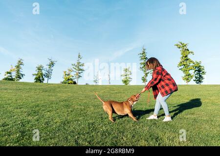 Unbekannte Frau, die mit ihrem reinrassigen Hund im Park spielt und Spaß hat. Stockfoto