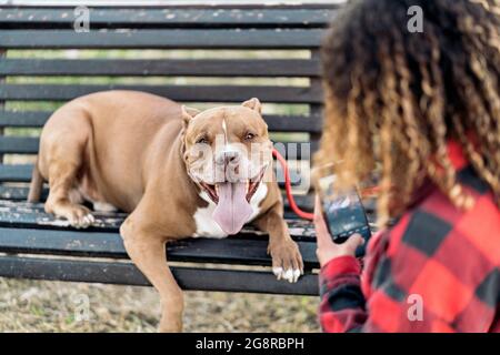 Unbekannte Frau mit lockigen Haaren sitzt im Park mit ihrem Hund, der mit ihrem Telefon ein Foto gemacht hat. Stockfoto