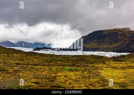 Nahaufnahme des Svinafellsjokull-Gletschers bei Skaftafell, Island Stockfoto