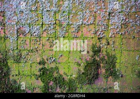 RUSSLAND, Wandpaneelhaus, mit kleinen Mosaikfliesen bedeckt.Versiegelung der Inter-Panel-Naht. Shabby Mosaikfliesen an der Fassade eines Hauses Stockfoto