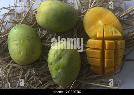 Moovandan Mango, eine gewöhnliche Mango von Kerala. Eine tropische Frucht, die in vielen Regionen Indiens angebaut wird. In hindi wird sie auch Langra Mango genannt. Stockfoto