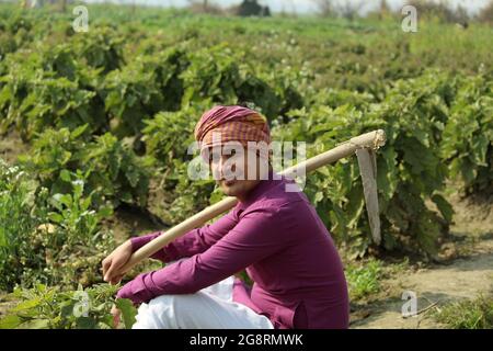 Landwirt, sitzend auf landwirtschaftlichem Feld Stockfoto