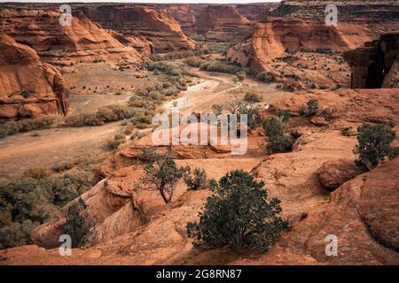 Wunderschöne Canyonlandschaft mit Sandsteinwänden, Büschen und rotem Boden Stockfoto