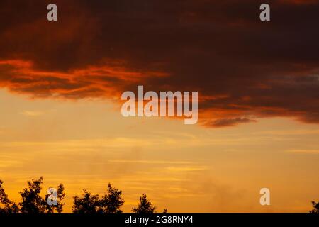 Adler auf dem Hintergrund des natürlichen Abendhimmels nach einem Gewitter. Stockfoto