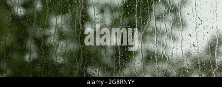 Bäume, die durch ein Fenster scheinen und mit Regentropfen bespritzt sind. Stockfoto