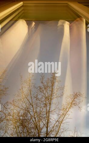 Blick auf die Straße durch das Fenster, das die Vorhänge reflektiert, beleuchtet von der Sonne. Ein sanfter Blick auf das reflektierte Sonnenlicht auf den Vorhängen Stockfoto