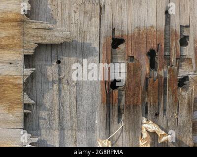 Eine alte Holzwand, die an mehreren Stellen in die Strahlen der Sonne gebohrt wurde. Restaurierung von Baudenkmälern für zukünftige Generationen. Stockfoto