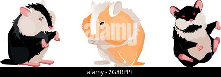 Drei realistische Hamster auf weißem Hintergrund - Vektor-Illustration Stock Vektor