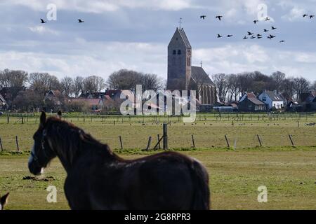 Typisch holländische Landschaft mit der Kirche von Hollum, Ameland mit einer Herde Gänse, Ackerland und einem verschwommenen friesischen Pferd im Vordergrund. Niederländisch Stockfoto