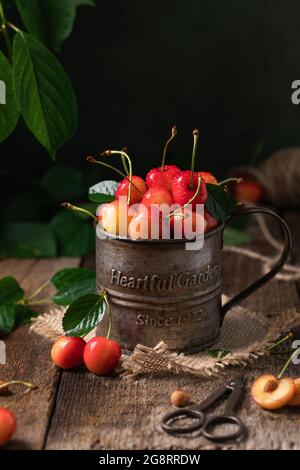 Frische gelbe und rote Kirschen in einem Vintage-Becher auf dem rustikalen Hintergrund Stockfoto