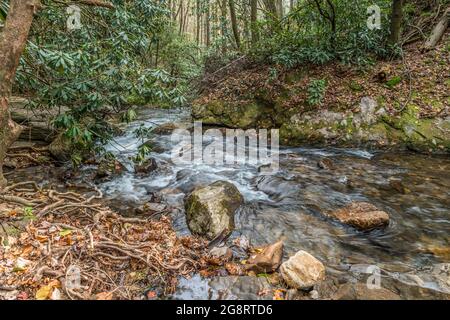 Landschaftlich schöne Aussicht auf einen Fluss, der über und um die Felsen und Felsbrocken fließt, lange Exposition mit kurvenreichen Wurzeln vom Baum entlang des Wassers auf einem sonnigen Stockfoto