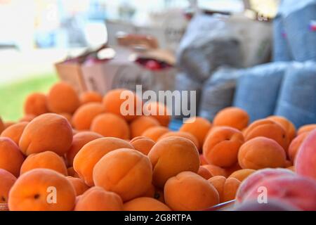 Aprikosen und anderes Obst und Gemüse zum Verkauf auf dem lokalen Bauernmarkt. Frische Bio-Produkte zum Verkauf auf dem lokalen Bauernmarkt. Stockfoto