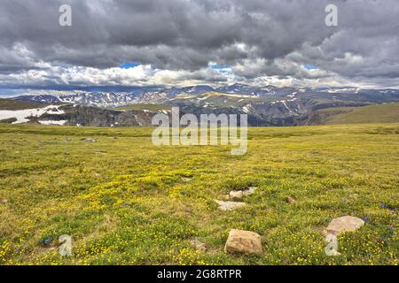 Absaroka Range der Rocky Mountains vom Beartooth Highway aus gesehen, einem National Scenic Byway nordöstlich des Yellowstone National Park Stockfoto